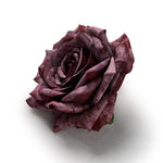 Aliflowers 9CM DIY Artificial Daisy Rose Flower Head 50PCS 100PCS ALFHR004 - Ali Flowers