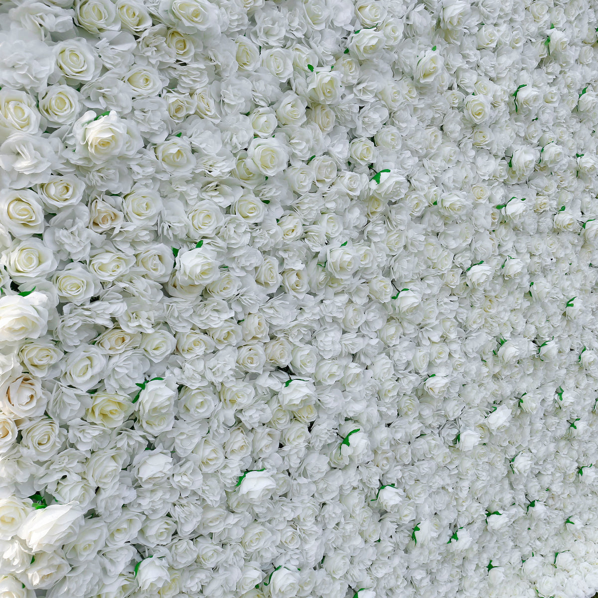 Aliflowers 3D White Pure Rose Flower Wall ALFWL056 - Ali Flowers