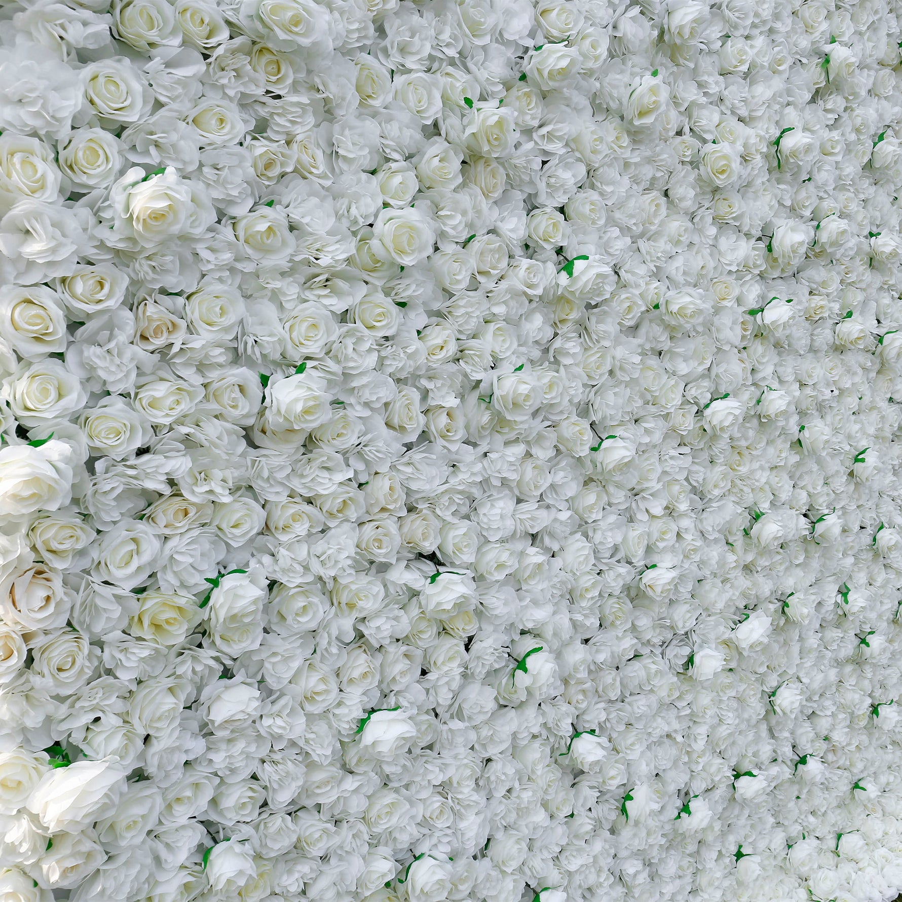 Aliflowers 3D White Pure Rose Flower Wall ALFWL056 - Ali Flowers