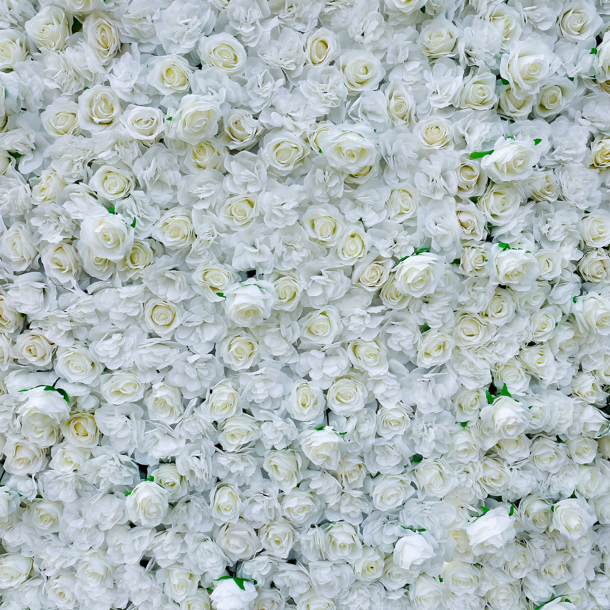 Aliflowers 3D White Pure Rose Flower Wall ALFWL056 - Ali Flowers
