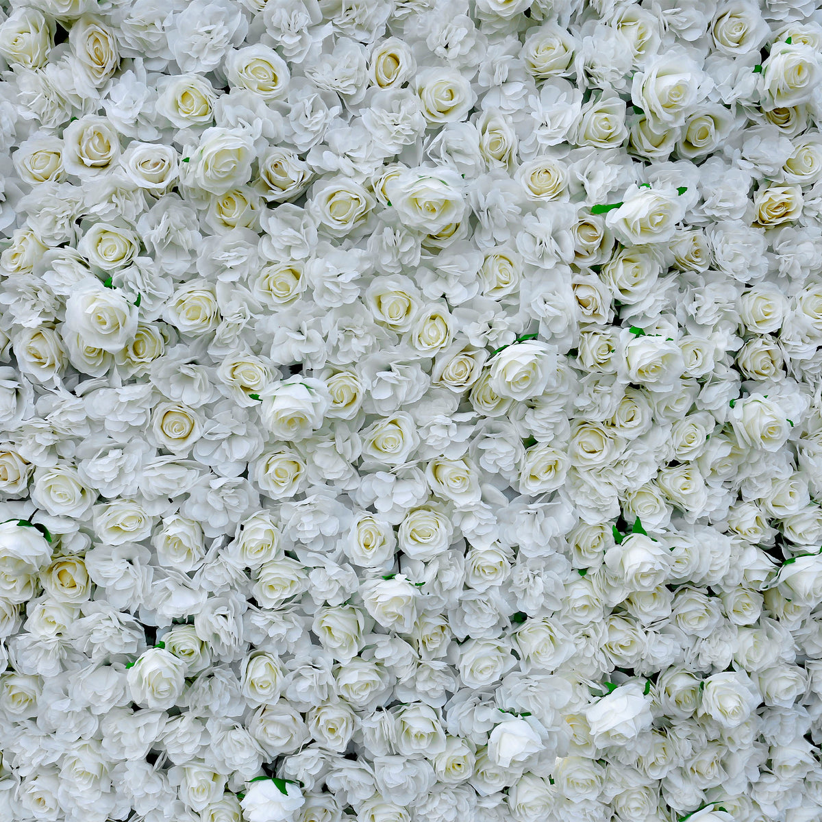 Aliflowers 3D White Pure Rose Flower Wall ALFWL056 - Ali Flowers