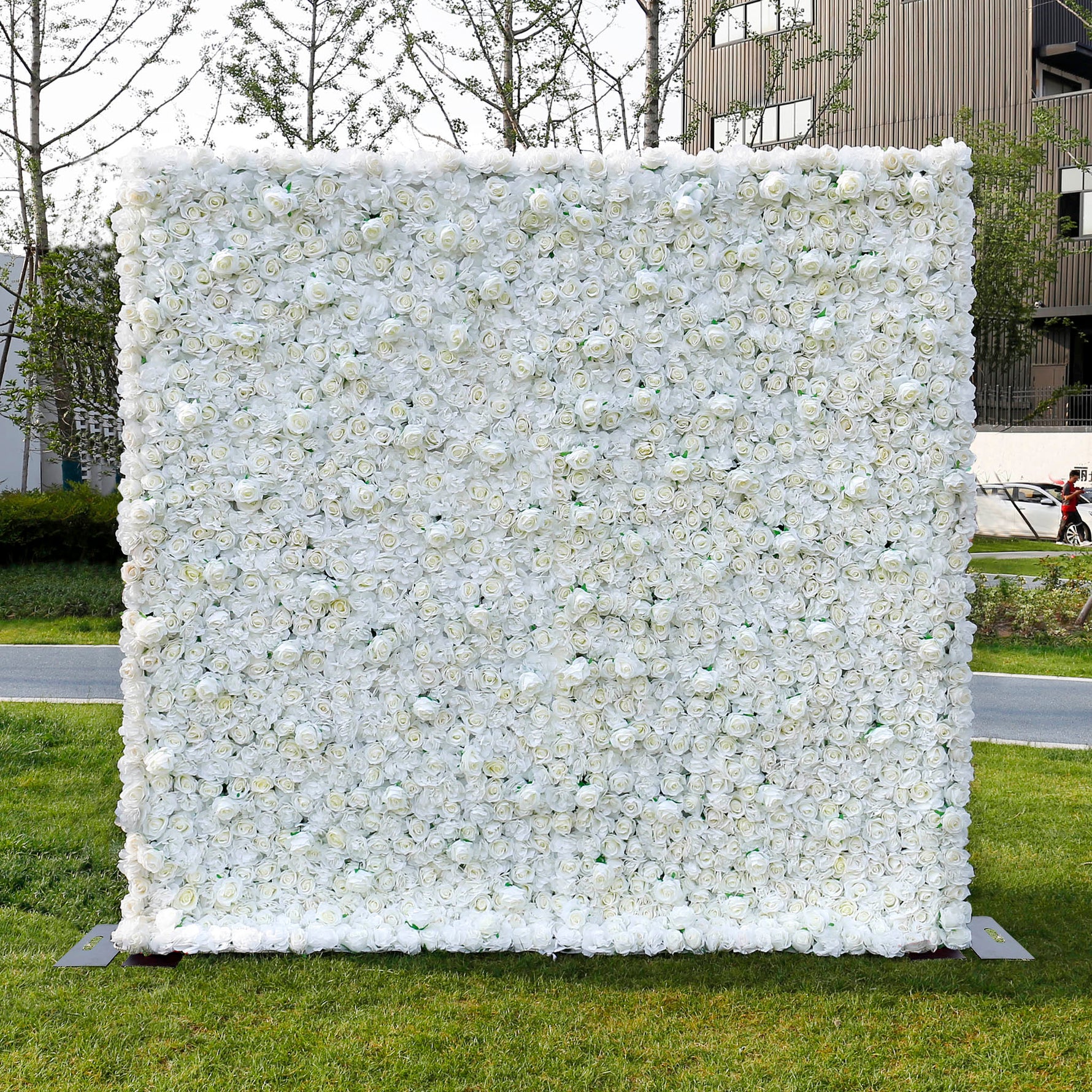 Aliflowers 3D White Pure Rose Flower Wall ALFWL056 - Ali Flowers