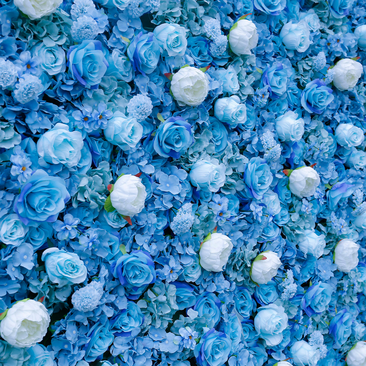 Aliflowers 3D Blue Contrasting Colors floral Wall Backdrop ALFWL042 - Ali Flowers