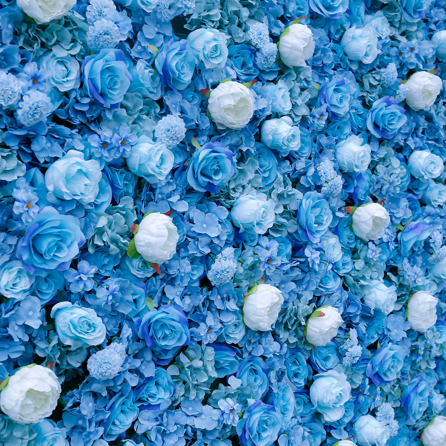 Aliflowers 3D Blue Contrasting Colors floral Wall Backdrop ALFWL042 - Ali Flowers