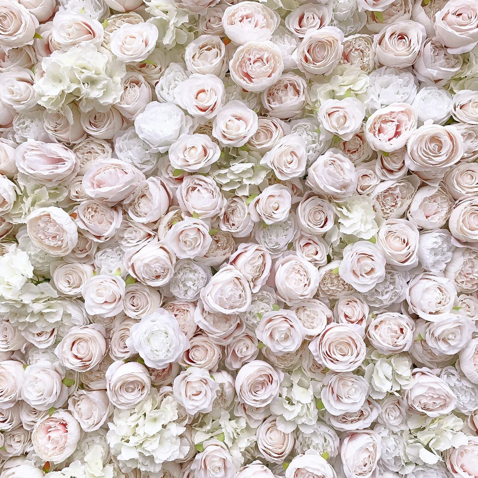 Ali Flowers 3d pale pink flower wall
