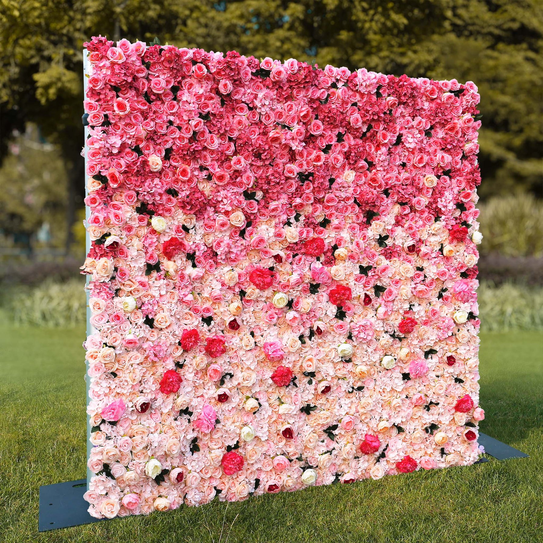 aliflowers-3d-pink-gradient-rose-roller-curtain-flower-wall-wedding-event-background-decoration