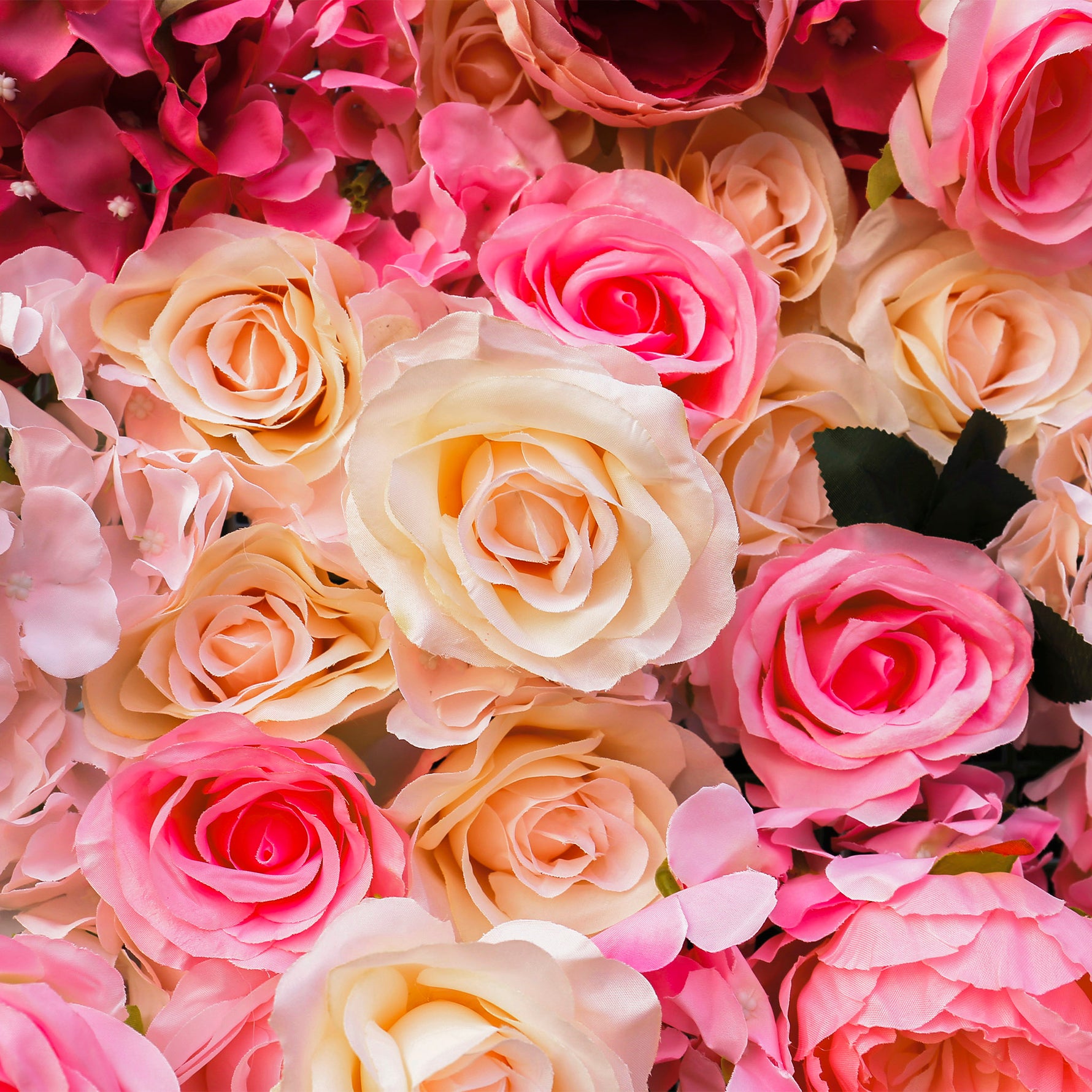 aliflowers-3d-pink-gradient-rose-roller-curtain-flower-wall-wedding-event-background-decoration