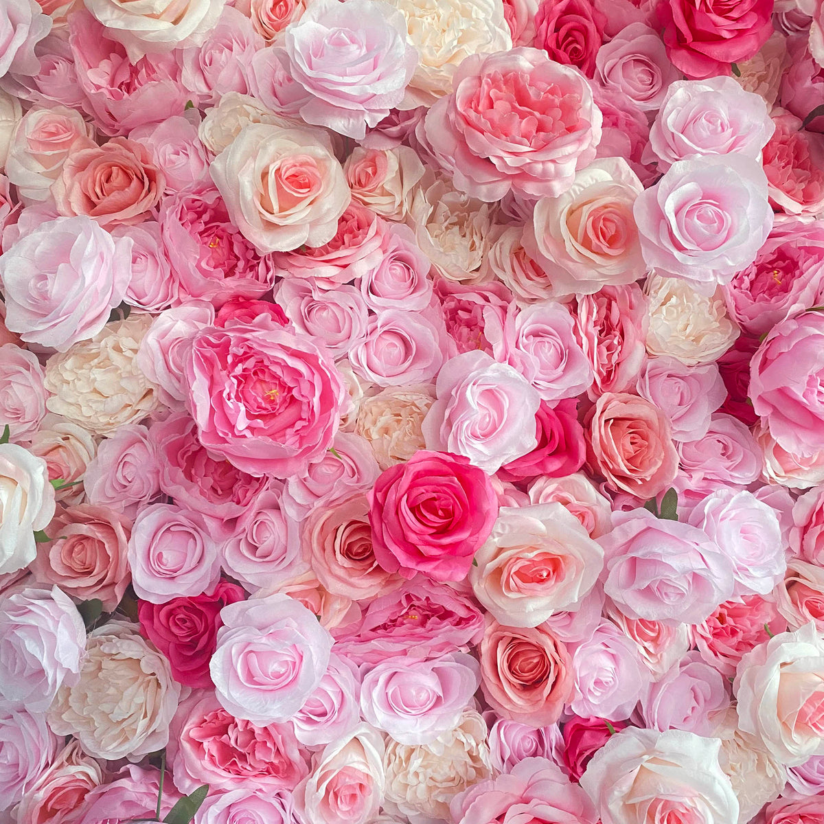 Ali Flowers 3D Artificial Silk Roll Up Cloth Flower Row Wall Pink Rose Wedding Backdrop ALFWL007 - Ali Flowers