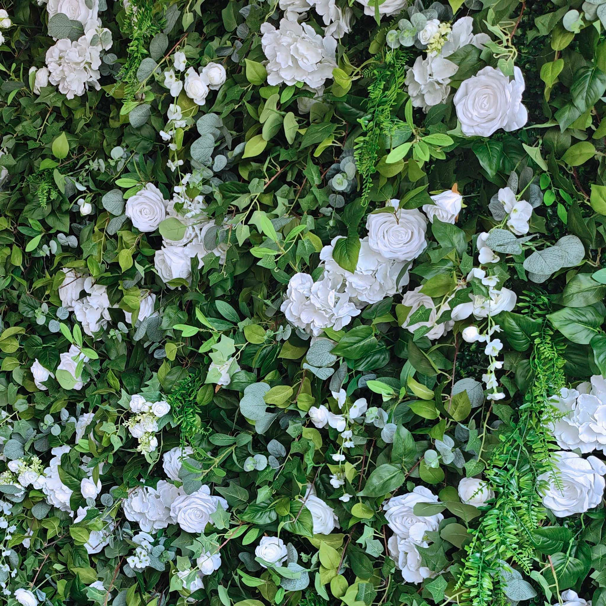 Aliflowers 3D White Rose & Green Leaf Roll-Up Flower Wall – Wedding & Party