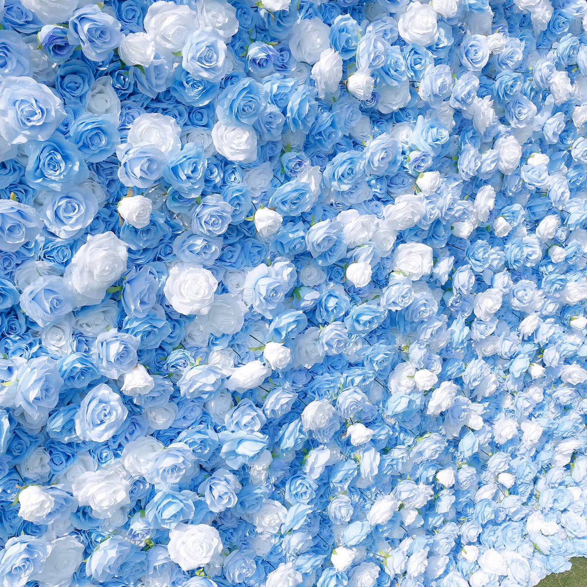 Aliflowers 5D Sky Blue with White Rose Roll Up Flower Wall Curtain Event Party Wedding Backdrop Decor ALFWL035 - Ali Flowers