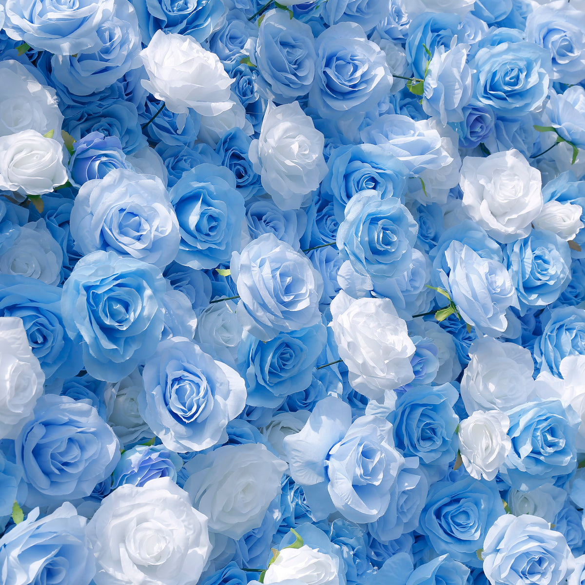 Aliflowers 5D Sky Blue with White Rose Roll Up Flower Wall Curtain Event Party Wedding Backdrop Decor ALFWL035 - Ali Flowers