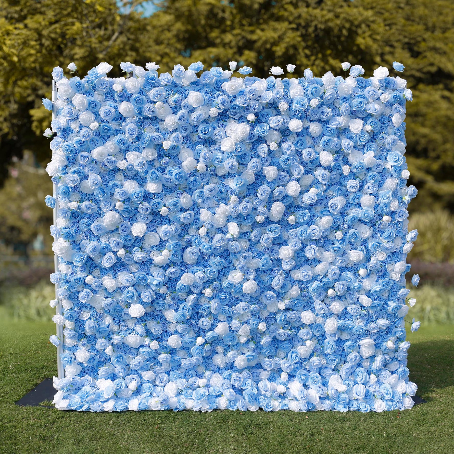 Aliflowers 5D Sky Blue with White Rose Roll Up Flower Wall Curtain Event Party Wedding Backdrop Decor ALFWL035 - Ali Flowers