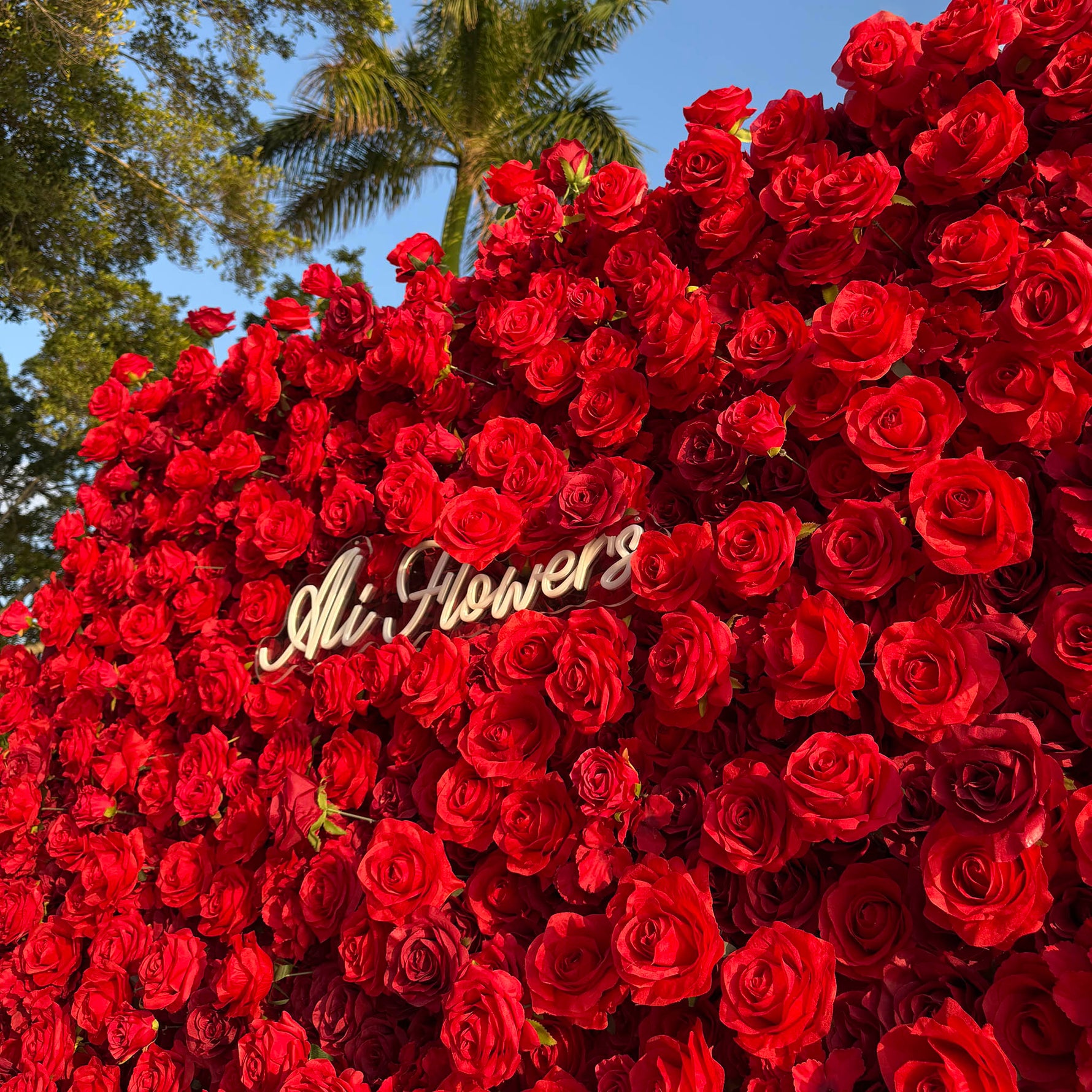 Aliflowers 5D Scarlet Red Rose Cloth Rolling Up Flower Wall ALFWL027 - Ali Flowers