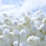 Aliflowers White Rose Hydrangea 5D Rolling Up Curtain Flower Wall Wedding Backdrop ALFWL028 - Ali Flowers