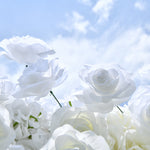 Aliflowers White Rose Hydrangea 5D Rolling Up Curtain Flower Wall Wedding Backdrop ALFWL028 - Ali Flowers