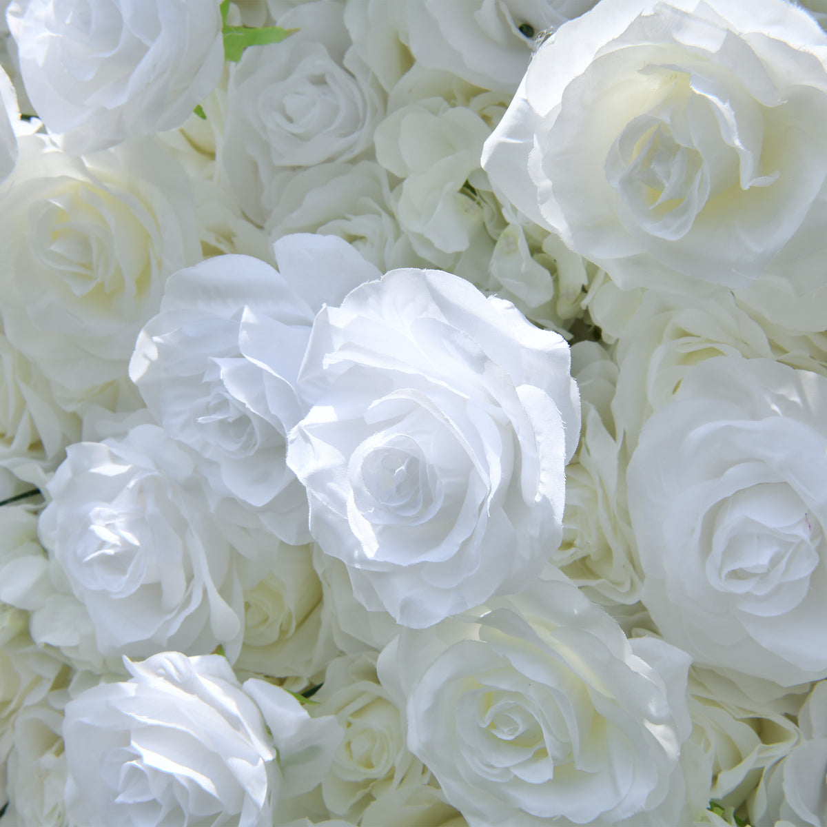 Aliflowers White Rose Hydrangea 5D Rolling Up Curtain Flower Wall Wedding Backdrop ALFWL028 - Ali Flowers