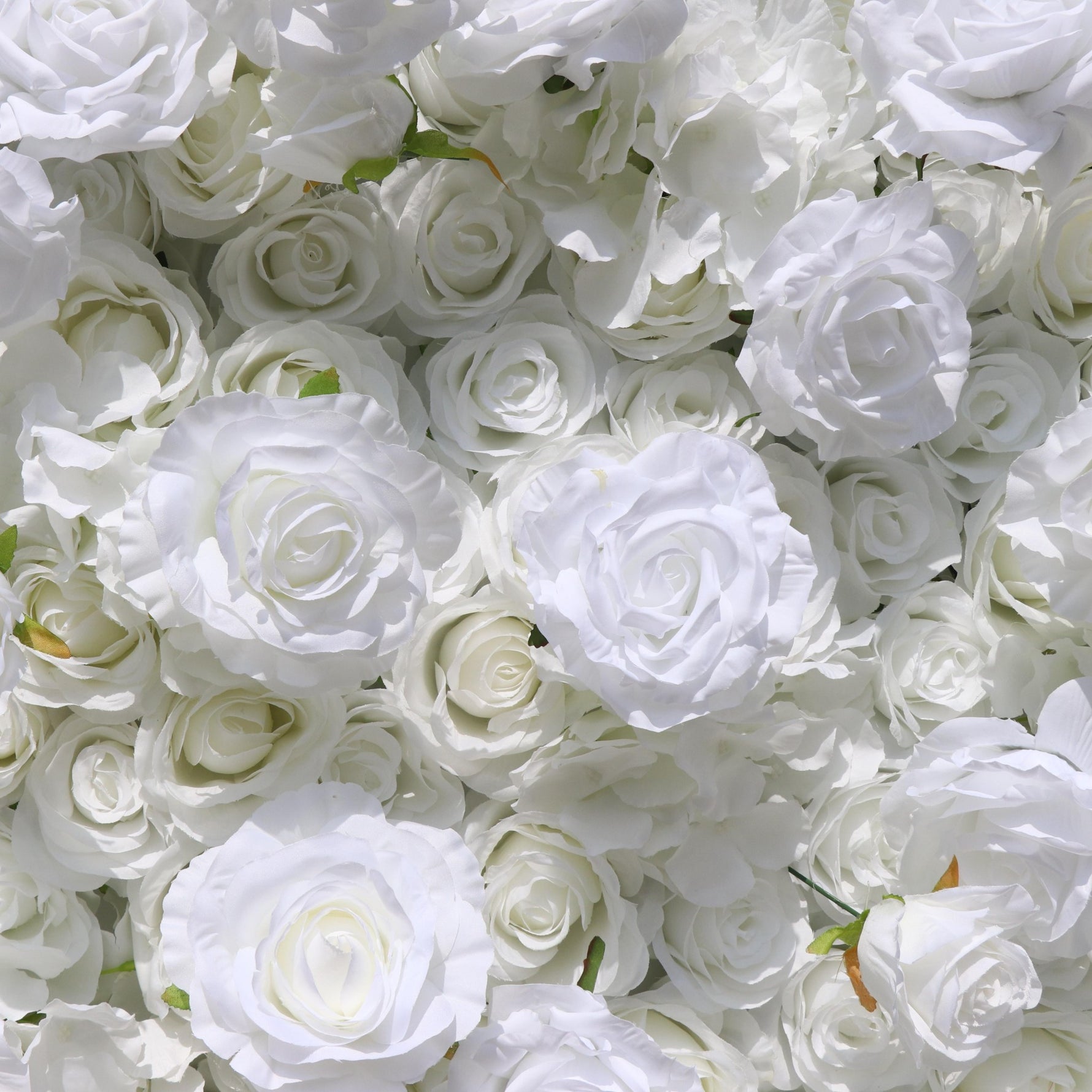 Aliflowers 5D White Rose & Hydrangea Rolling Curtain Flower Wall Backdrop ALFWL130 - Ali Flowers
