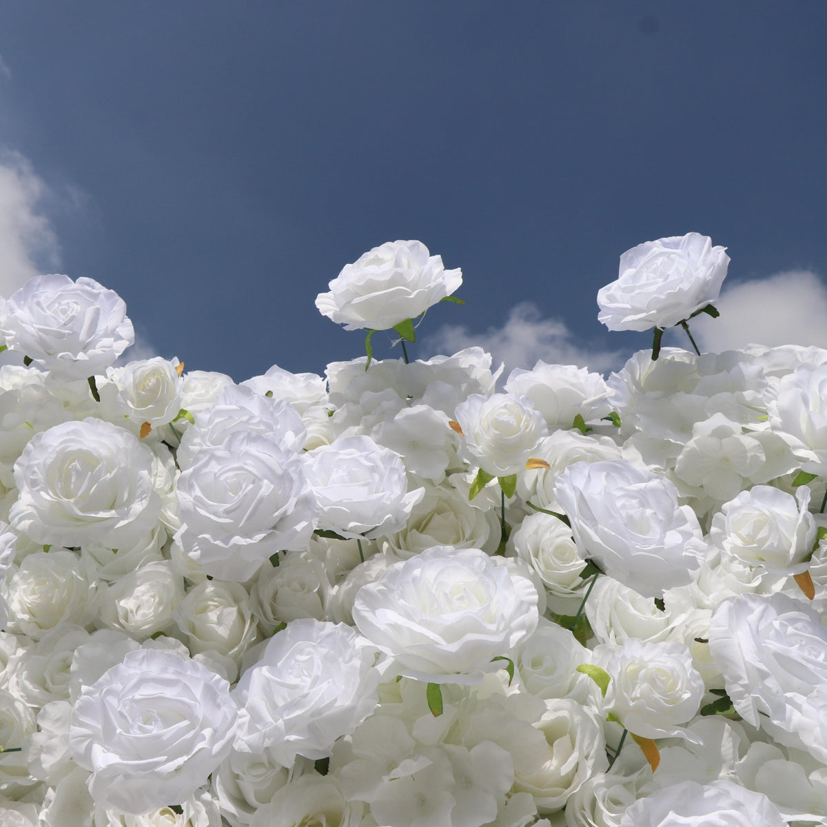 Aliflowers 5D White Rose & Hydrangea Rolling Curtain Flower Wall Backdrop ALFWL130 - Ali Flowers