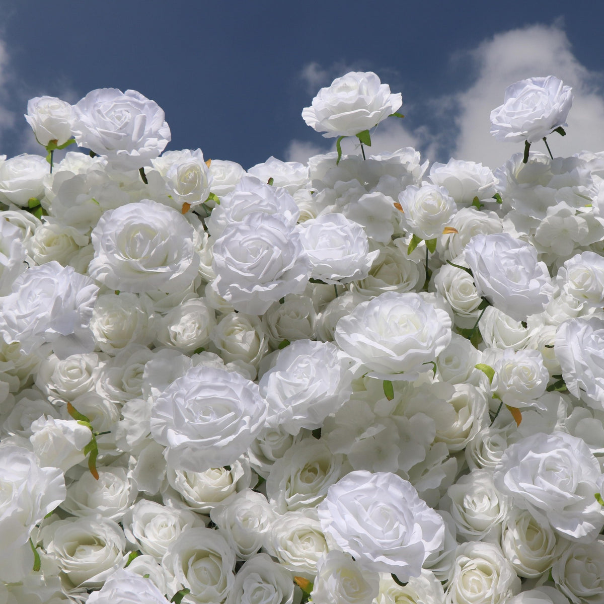 Aliflowers 5D White Rose & Hydrangea Rolling Curtain Flower Wall Backdrop ALFWL130 - Ali Flowers