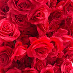 Aliflowers 5D Red Rose Fabric Floral Arch Backdrop for Wedding & Party Decoration GM009