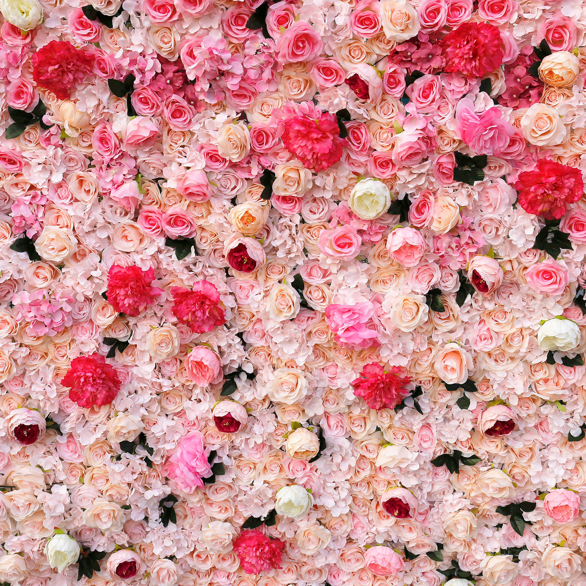 aliflowers-3d-pink-gradient-rose-roller-curtain-flower-wall-wedding-event-background-decoration