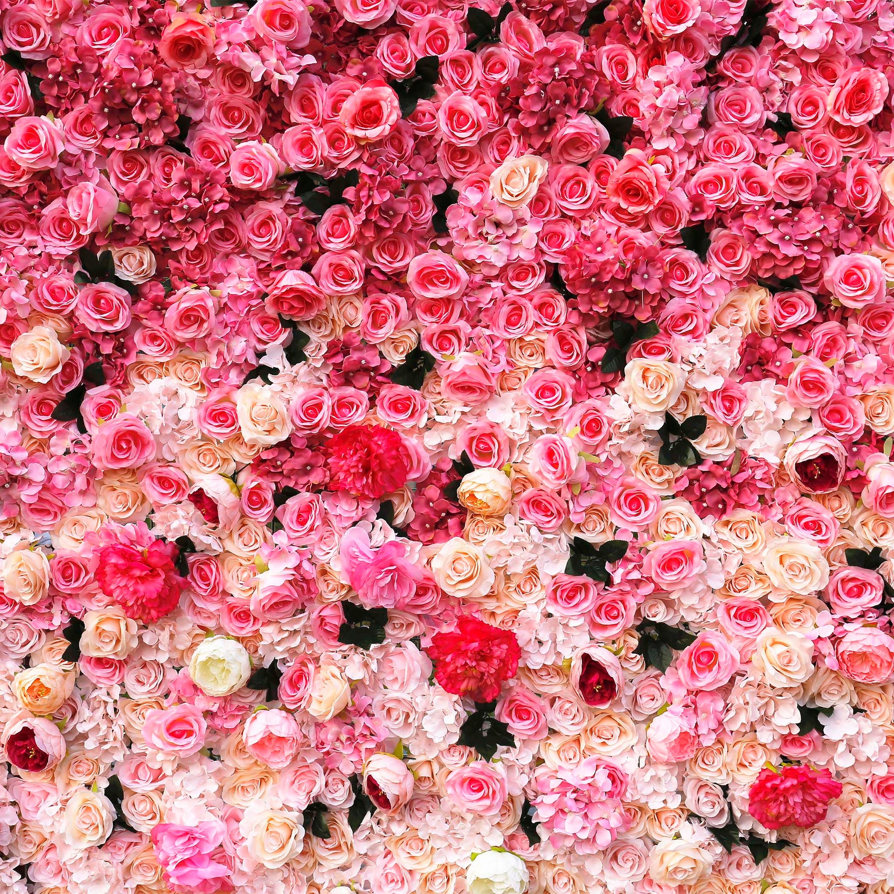 aliflowers-3d-pink-gradient-rose-roller-curtain-flower-wall-wedding-event-background-decoration