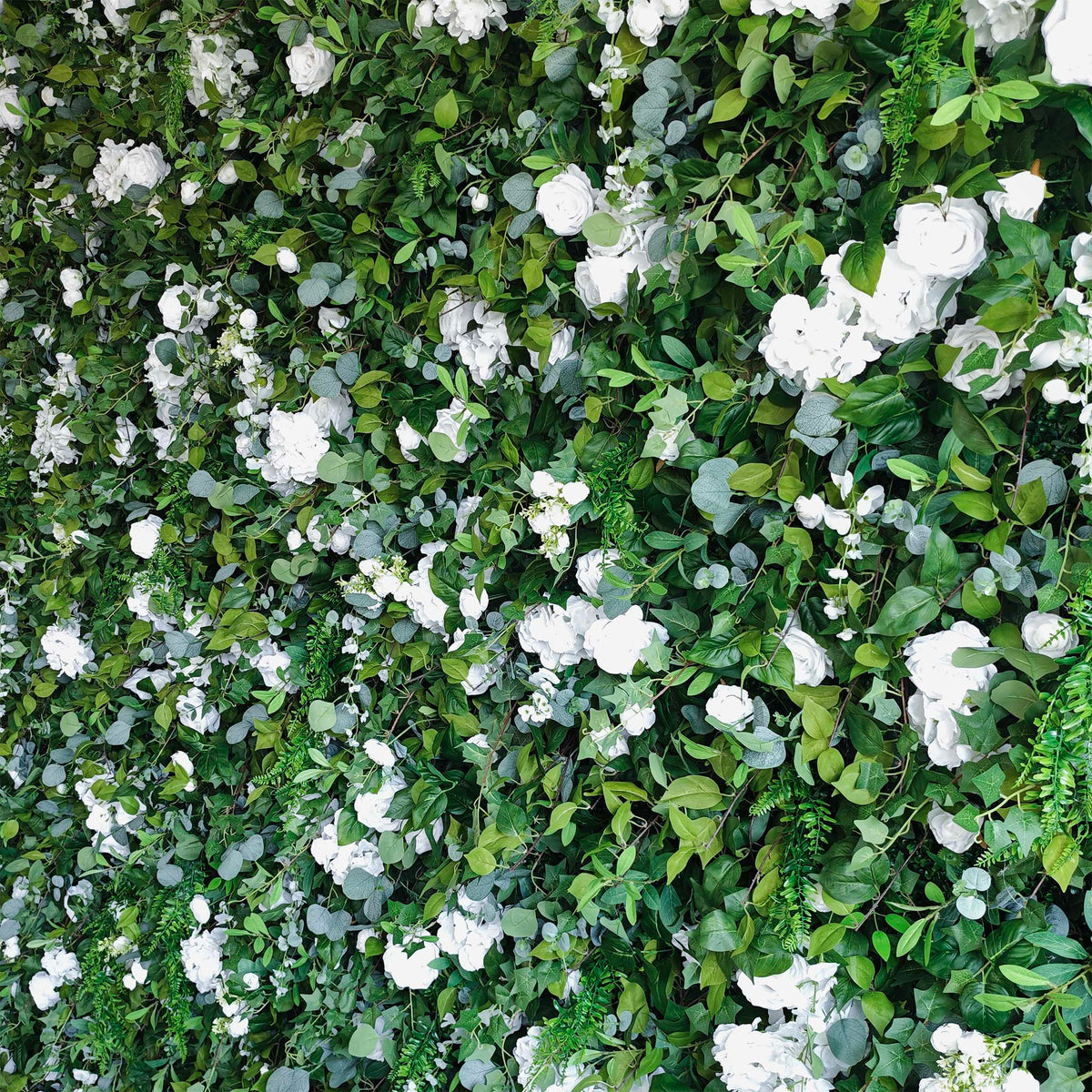 Aliflowers 3D White Rose & Green Leaf Roll-Up Flower Wall – Wedding & Party