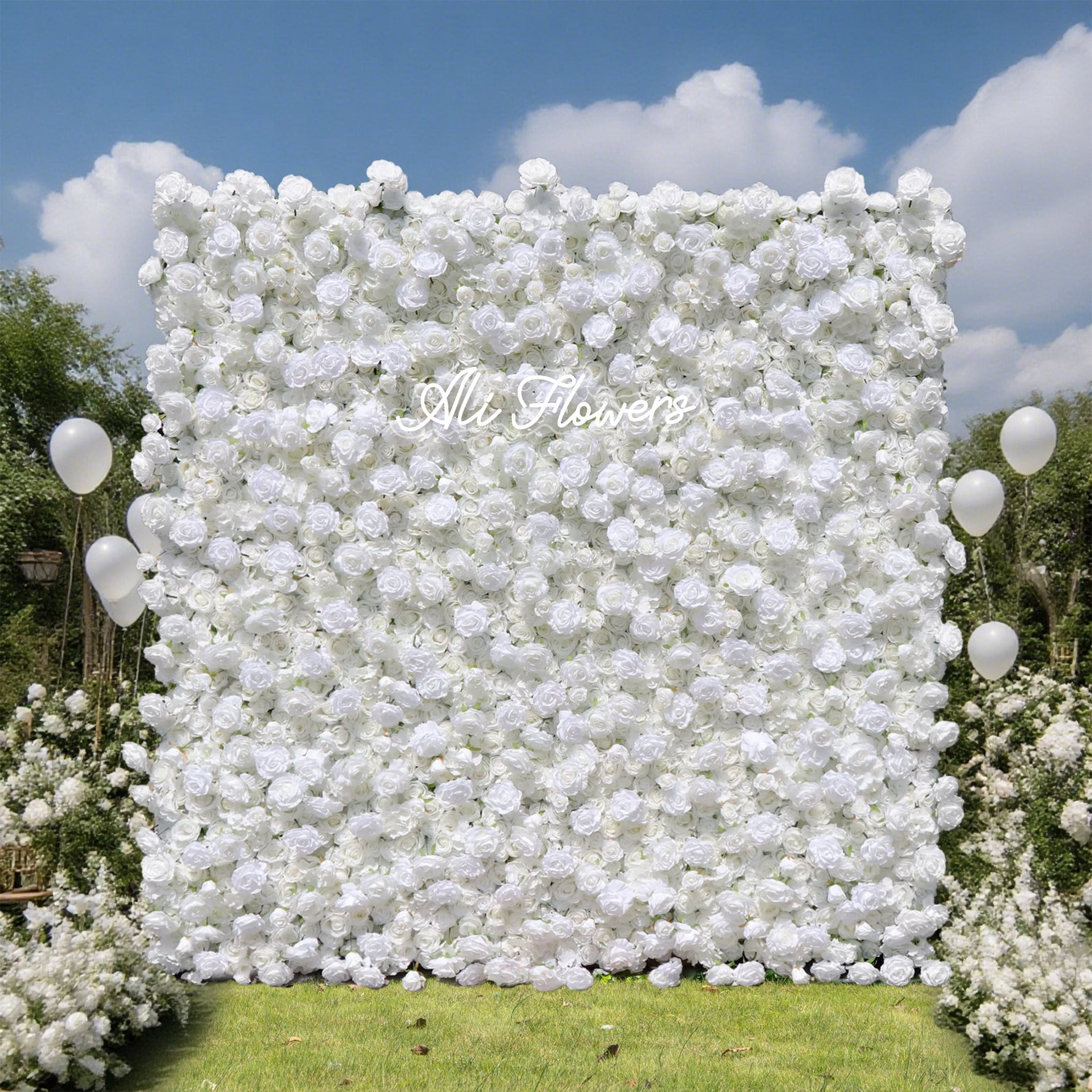 aliflowers-5d-white-rose-hydrangea-rolling-curtain-flower-wall-backdrop