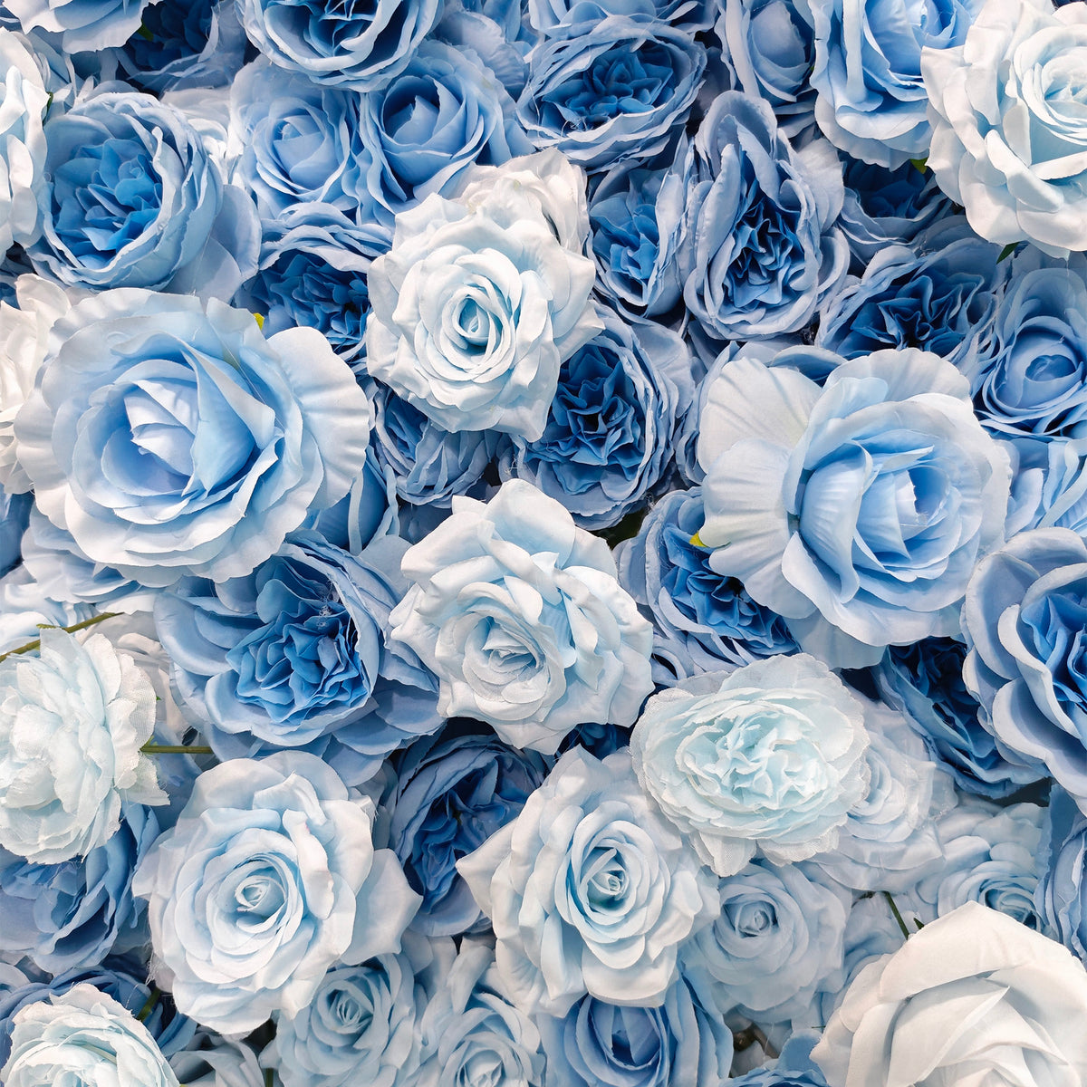 aliflowers-5d-blue-and-white-rose-gradient-flower-wall floral-roller-blinds-wedding-party-decoration