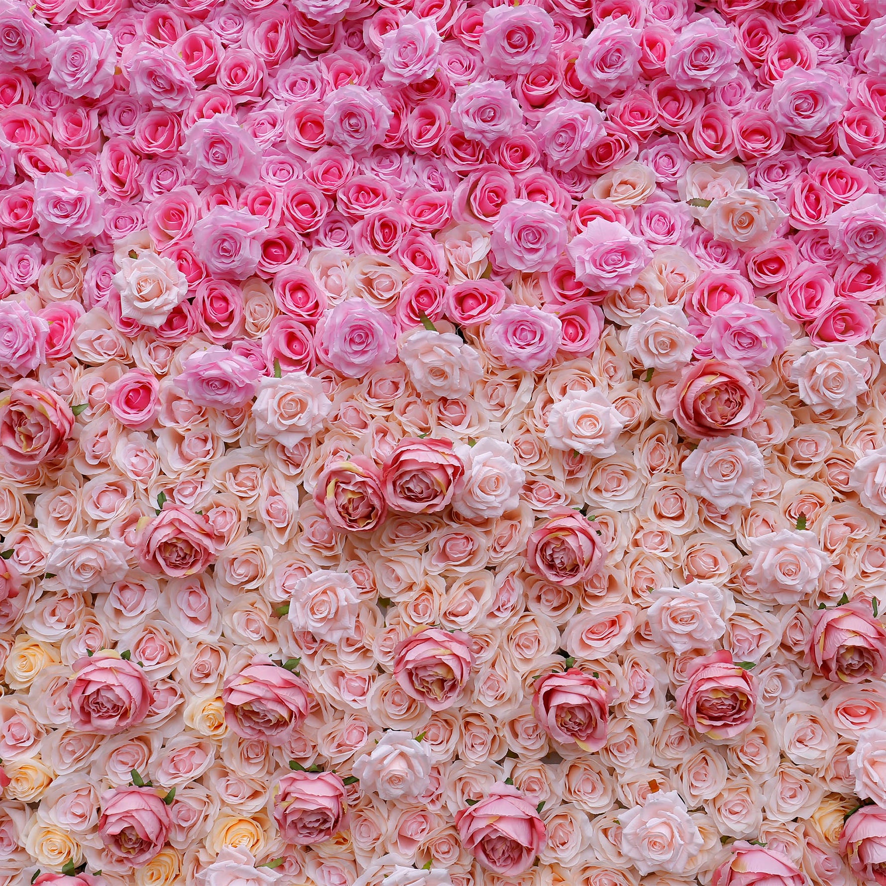 aliflowers 3D gradient rose fabric flower wall wedding party decoration background