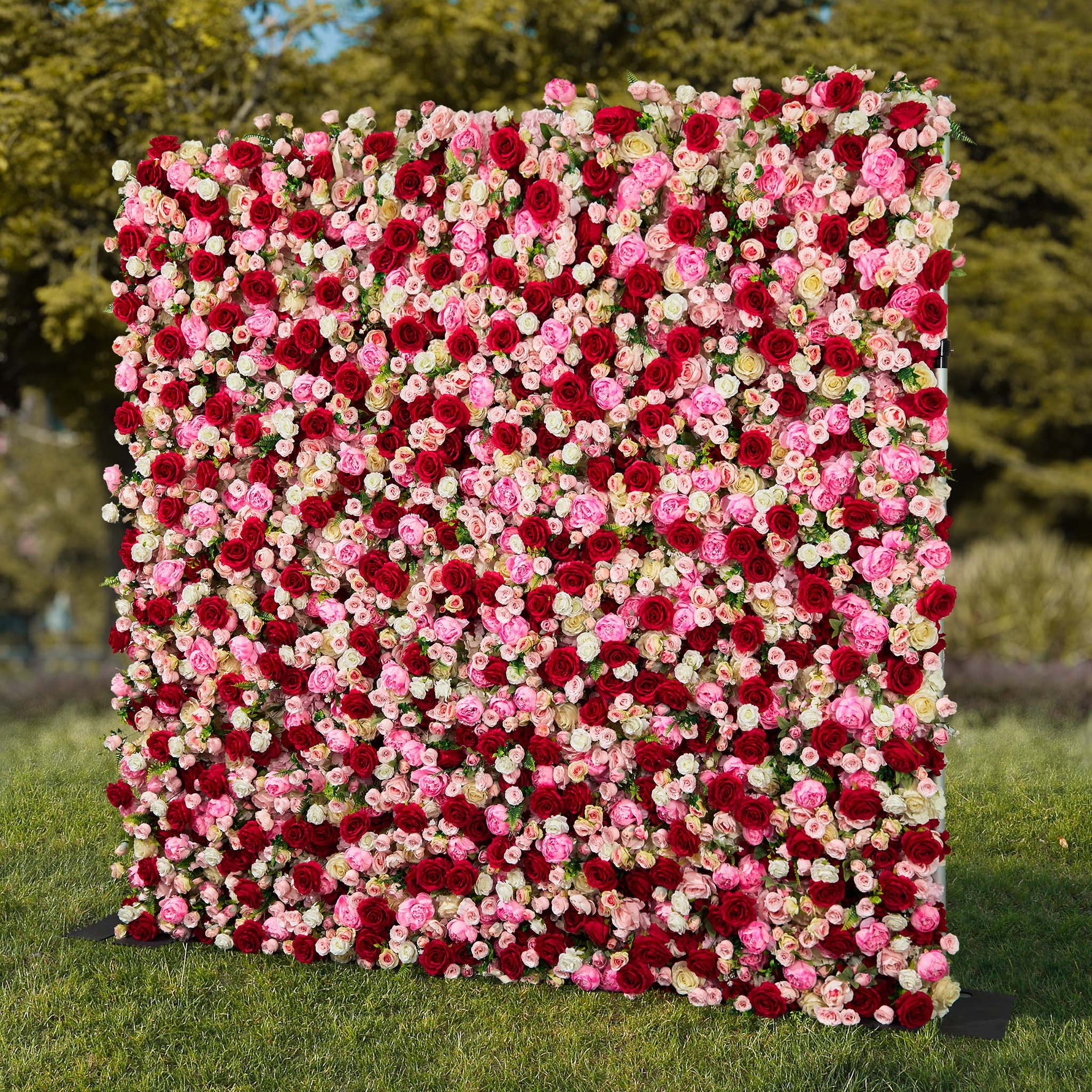 Aliflowers 3D Pink Rose Roller Curtain Decoration Wedding Flower Background Wall