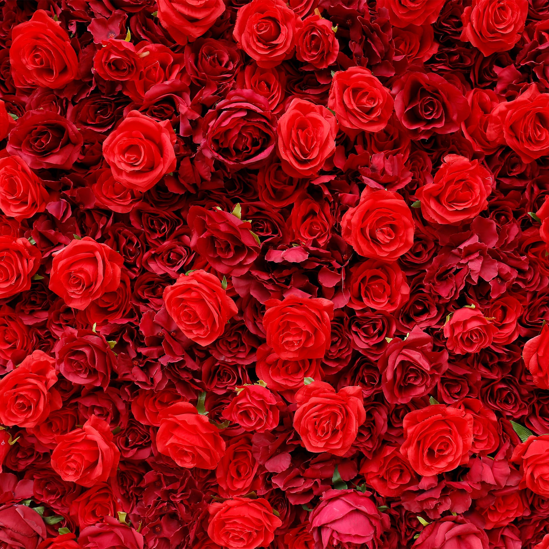 Aliflowers Pure Carmine Red Rose Wall Backdrop Decor Layout Photo Props ALFWL068 - Ali Flowers