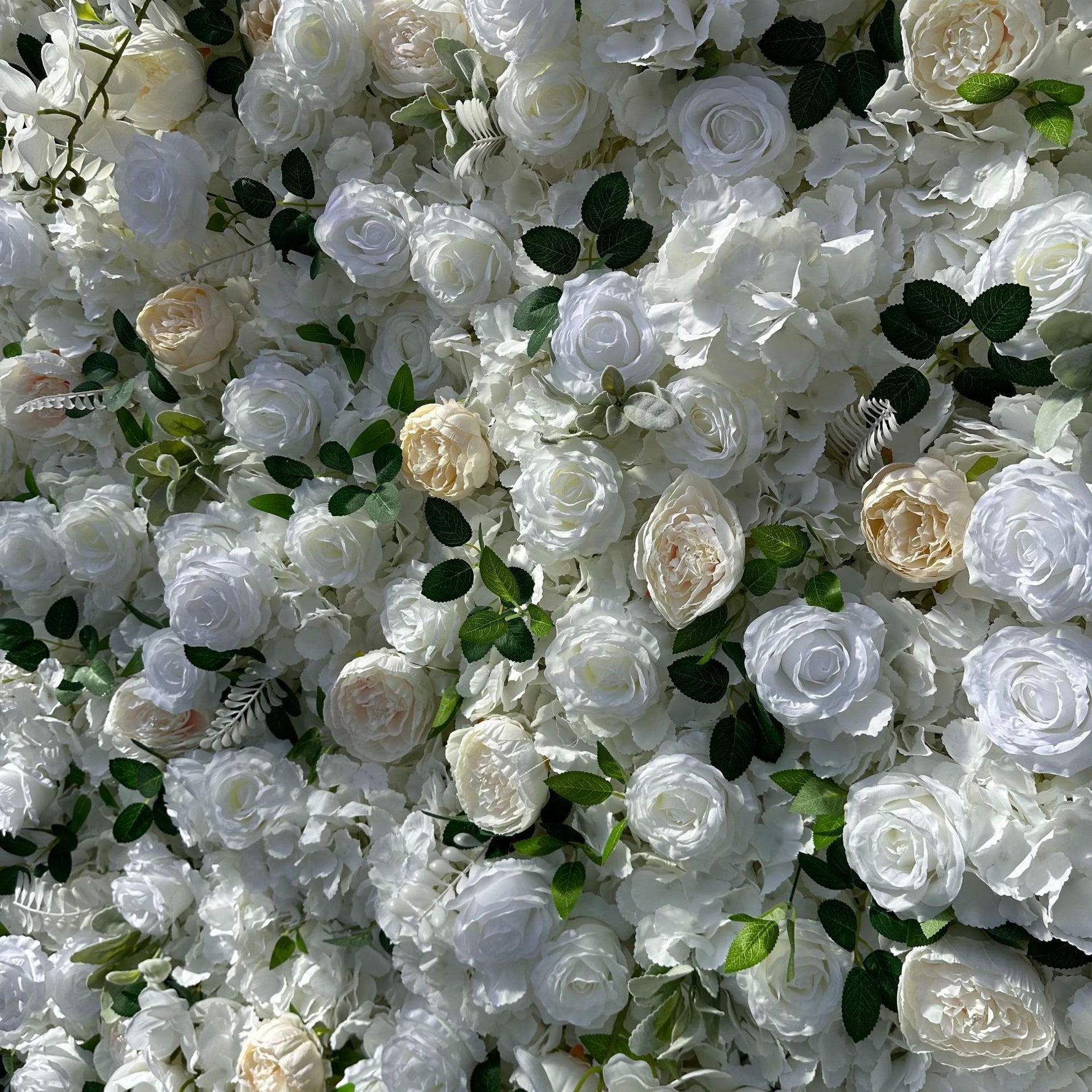 Aliflowers White Rose Green Leaf Premium Fabric Flower Wall Decoration ALFWL179