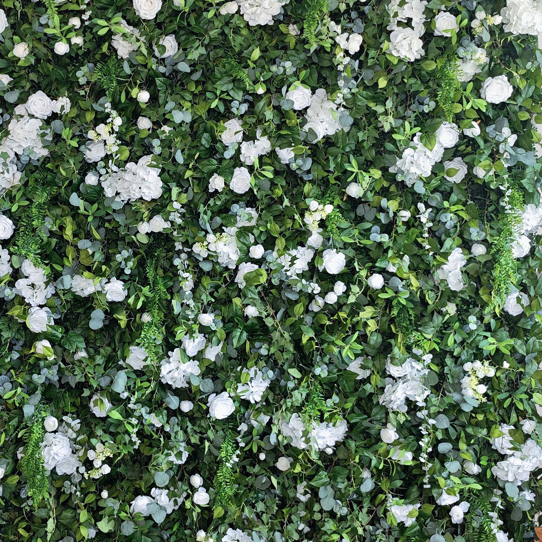 Aliflowers 3D White Rose & Green Leaf Roll-Up Flower Wall – Wedding & Party