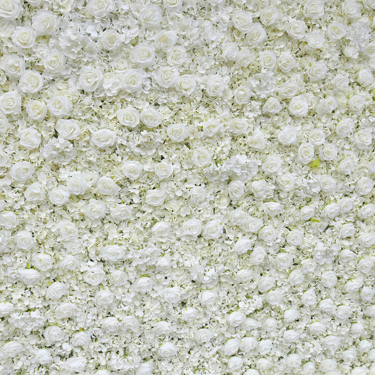 Aliflowers Cream Rose Roll Up Fabric Artificial Flower Wall for Sale ALFWL065 - Ali Flowers