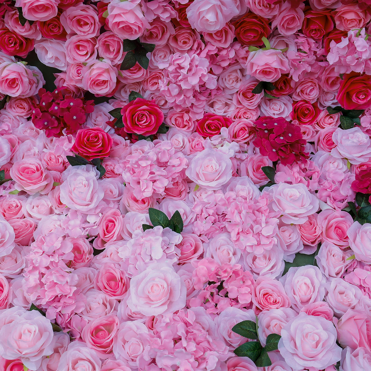 Aliflowers 3D Gradient Color Pink to Hot Pink Fabric Curtain Flower Backdrop Wall ALFWL110 - Ali Flowers