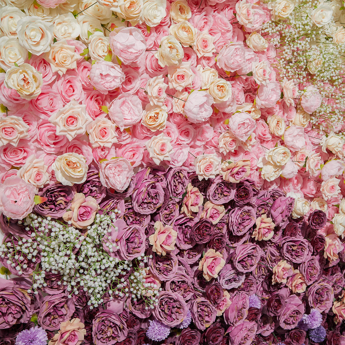 Gradient Colorful Rose & Hydrangea 5D Flower Wall with Babysbreath ALFWL150 - Ali Flowers