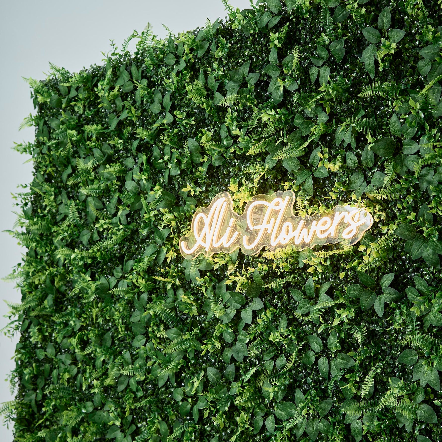 Artificial Grass Wall Backdrop ALFWL151（Australia） - Ali Flowers
