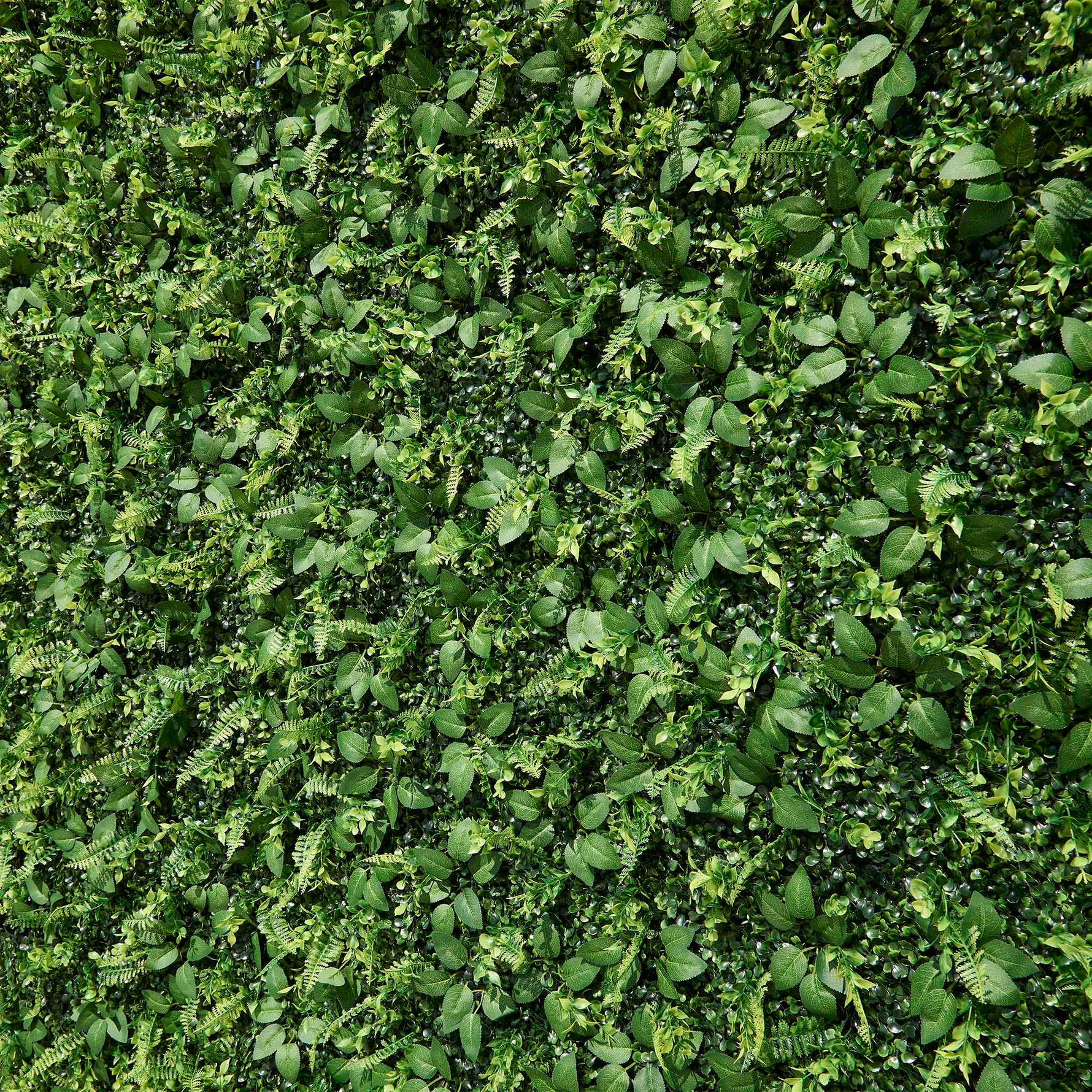 Artificial Grass Wall Backdrop ALFWL151 - Ali Flowers