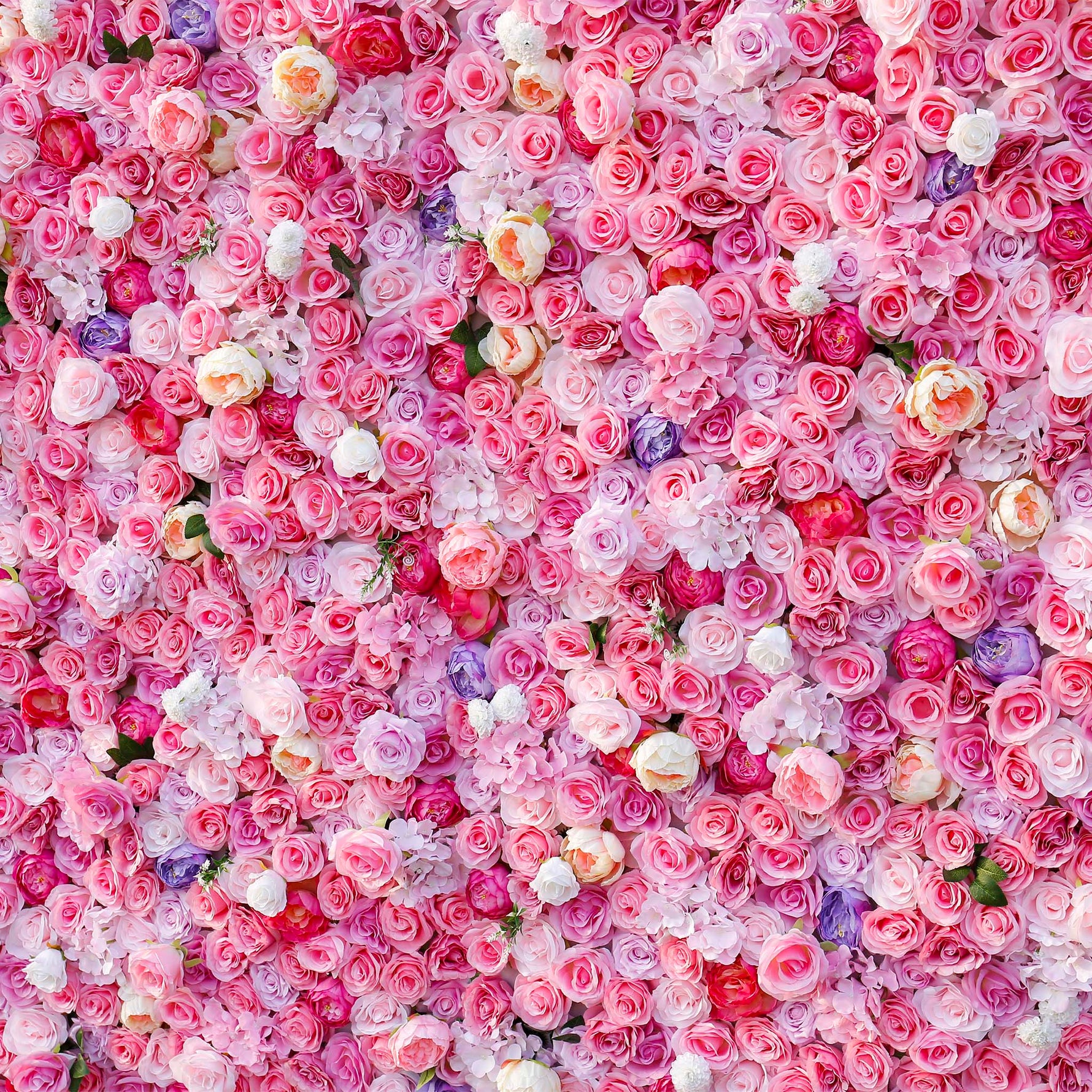 Aliflowers 3D Hot Pink Flowers for Wall Wedding Decorative ALFWL045 - Ali Flowers