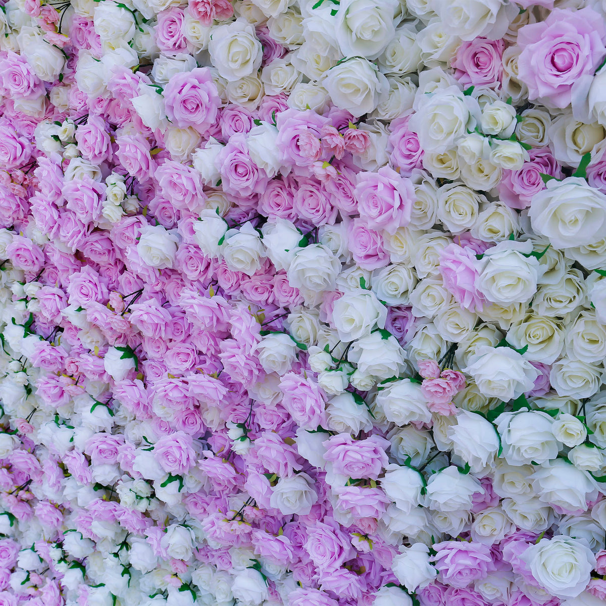 Aliflowers Pink White Colour mixture Rose Wall of flowers ALFWL058 - Ali Flowers