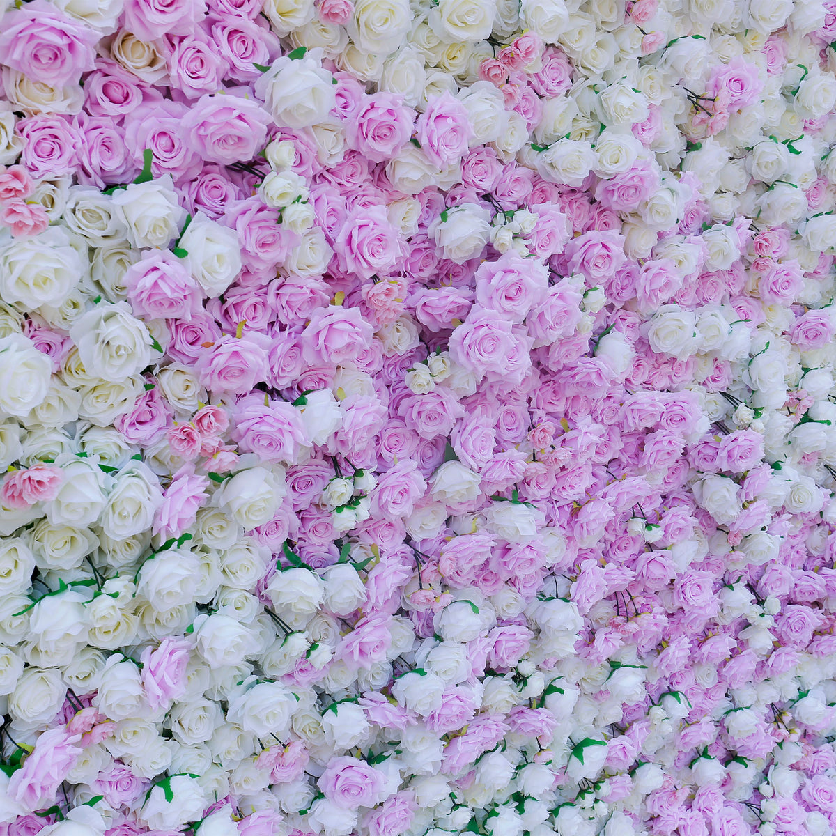 Aliflowers Pink White Colour mixture Rose Wall of flowers ALFWL058 - Ali Flowers