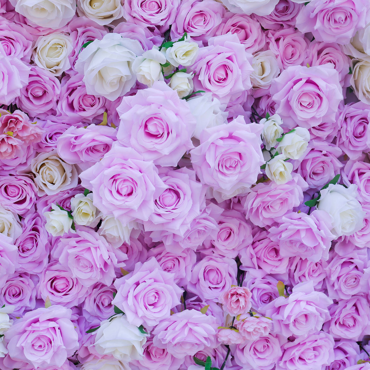 Aliflowers Pink White Colour mixture Rose Wall of flowers ALFWL058 - Ali Flowers