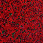 Aliflowers Rose Wall Wedding Backdrop Decor Marriage Props ALFWL064 - Ali Flowers