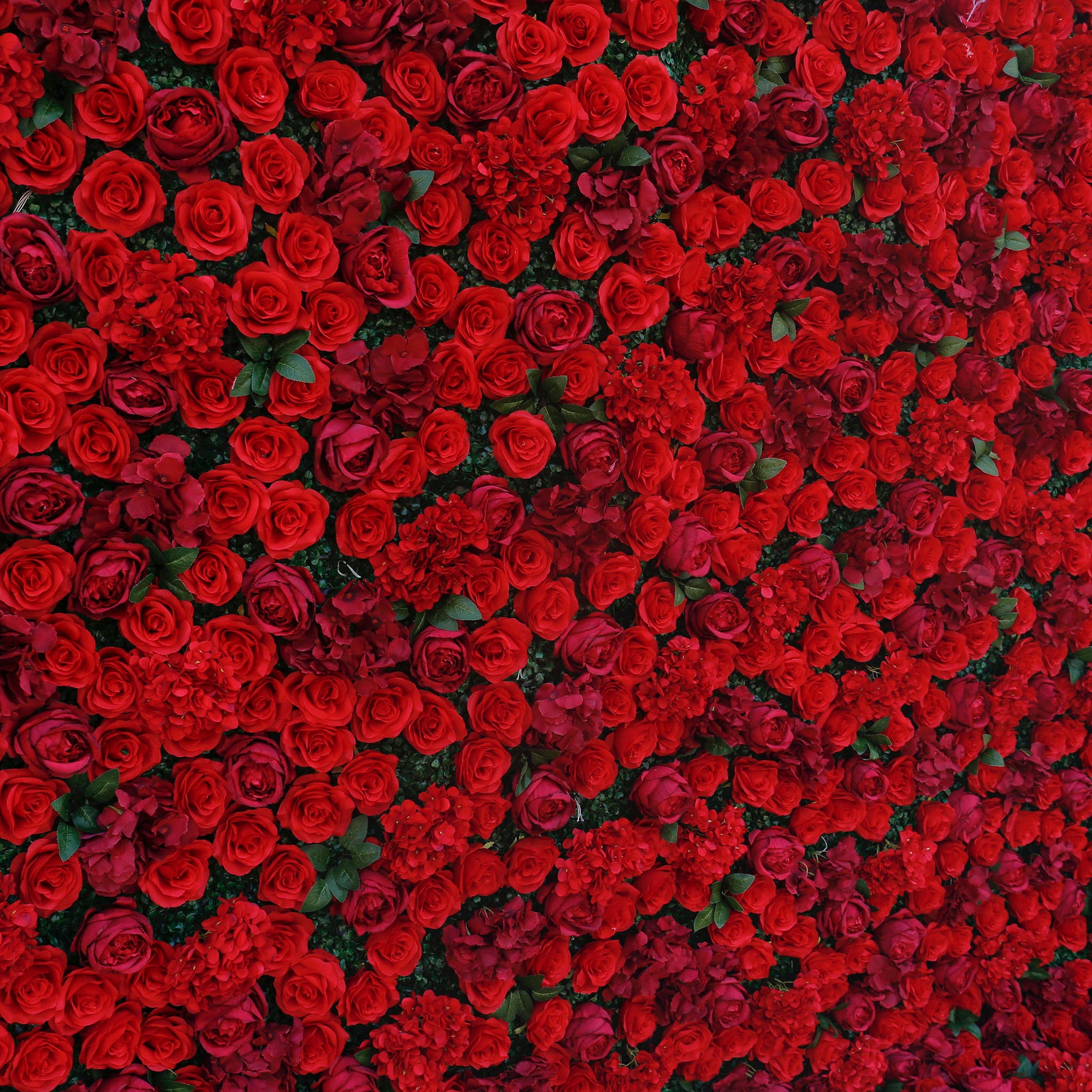 Aliflowers Rose Wall Wedding Backdrop Decor Marriage Props ALFWL064 - Ali Flowers