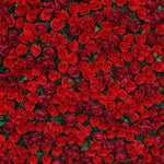 Aliflowers Rose Wall Wedding Backdrop Decor Marriage Props ALFWL064 - Ali Flowers
