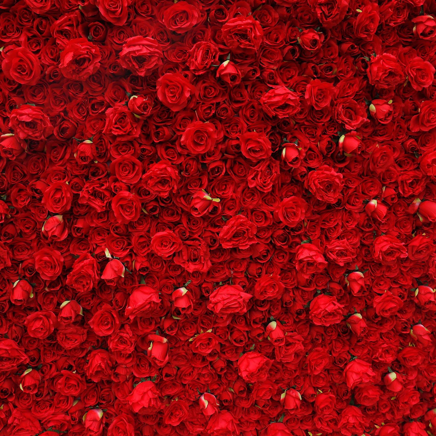 Aliflowers Red Rose 3D Wedding Flower decor Wall Prop ALFWL061 - Ali Flowers