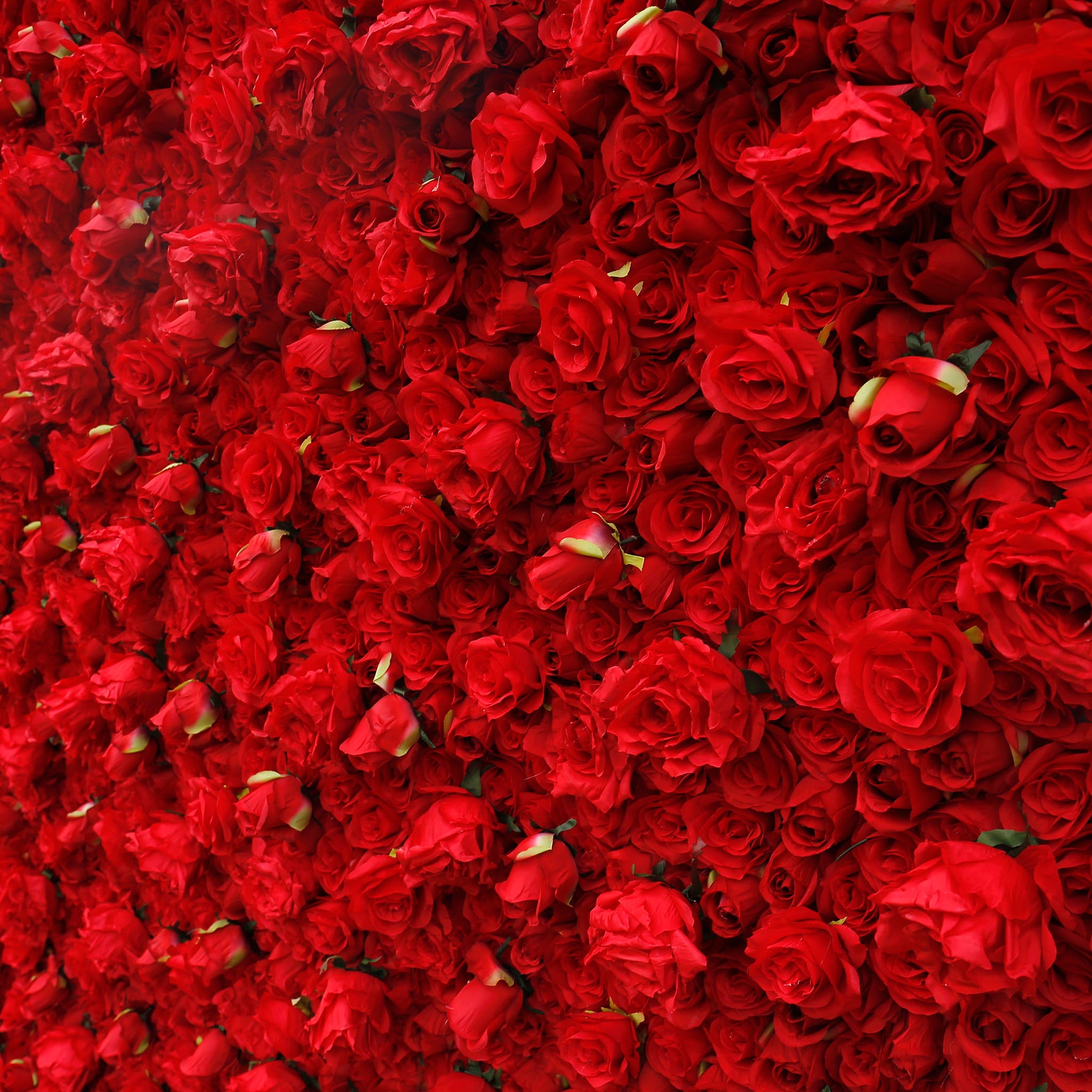 Aliflowers Red Rose 3D Wedding Flower decor Wall Prop ALFWL061 - Ali Flowers