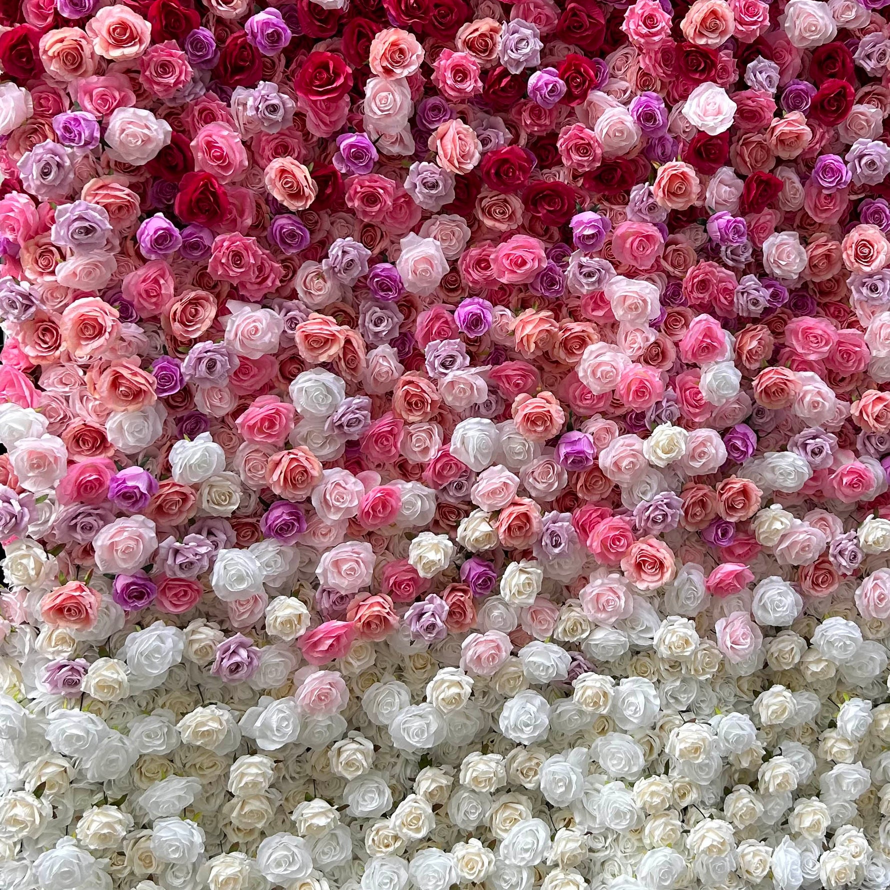 Aliflowers Gradient Rose Flower Wall for Events & Photo Booth Backdrop ALFWL115 - Ali Flowers