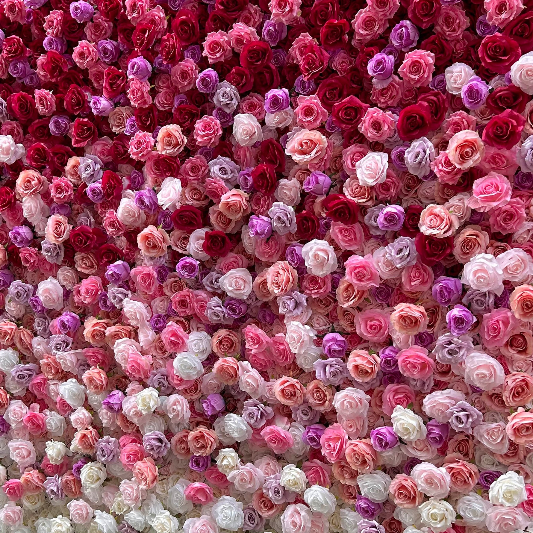 Aliflowers Gradient Rose Flower Wall for Events & Photo Booth Backdrop ALFWL115 - Ali Flowers